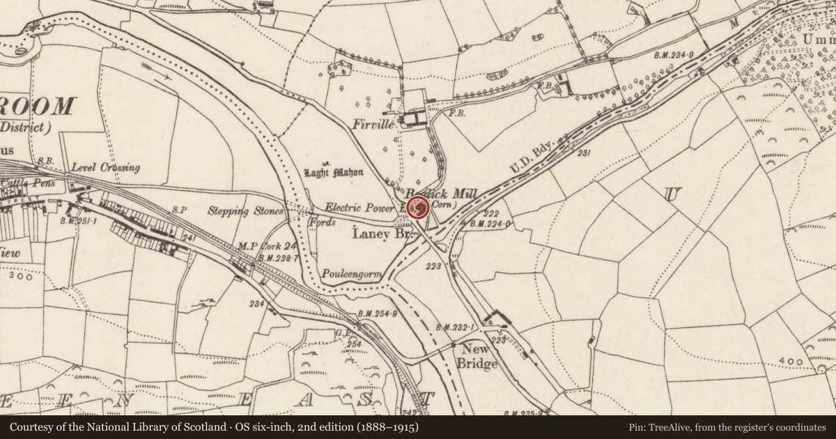 Ordnance Survey six-inch map, 2nd edition (1888–1915) covering the location of Mill - corn, Bealick, County Cork, with a pin at the register's coordinates