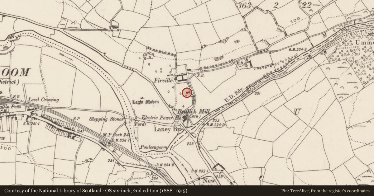 Ordnance Survey six-inch map, 2nd edition (1888–1915) covering the location of Metalworking site, Bealick, County Cork, with a pin at the register's coordinates
