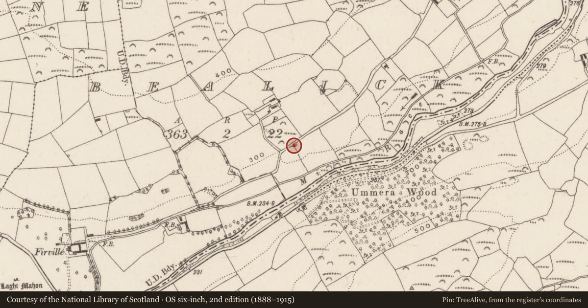 Ordnance Survey six-inch map, 2nd edition (1888–1915) covering the location of Kiln - lime, Bealick, County Cork, with a pin at the register's coordinates