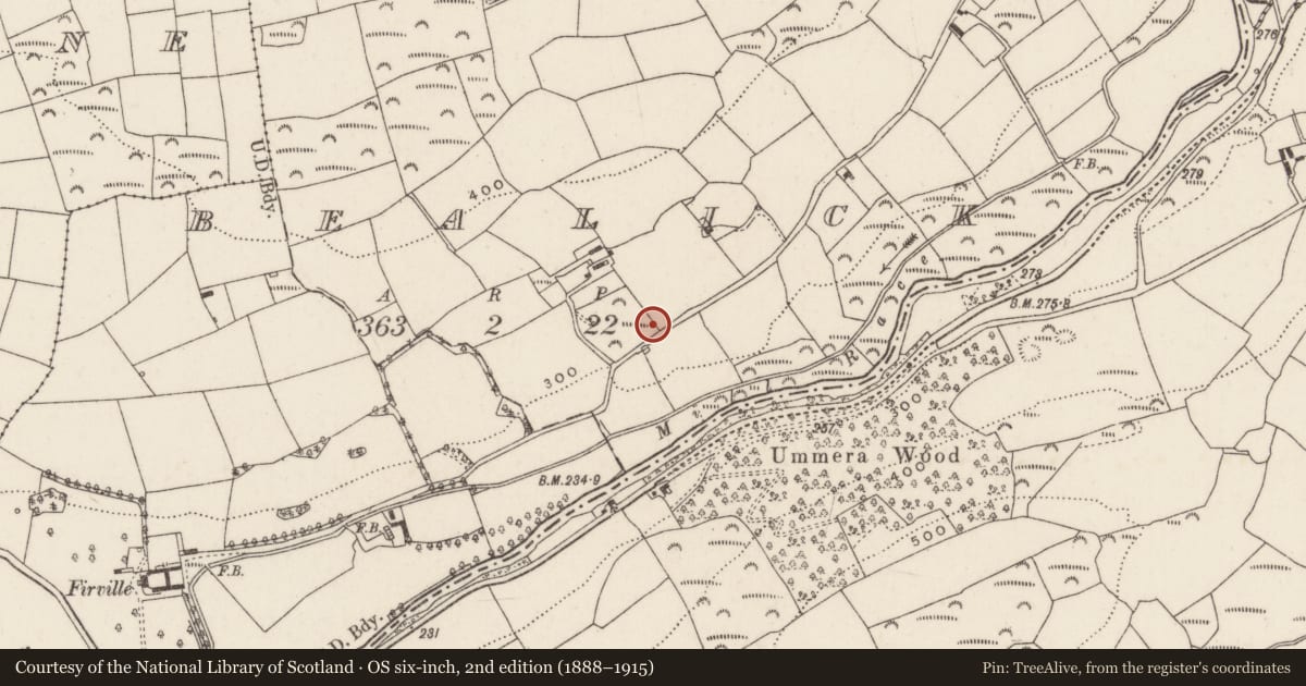 Ordnance Survey six-inch map, 2nd edition (1888–1915) covering the location of Cist, Bealick, County Cork, with a pin at the register's coordinates