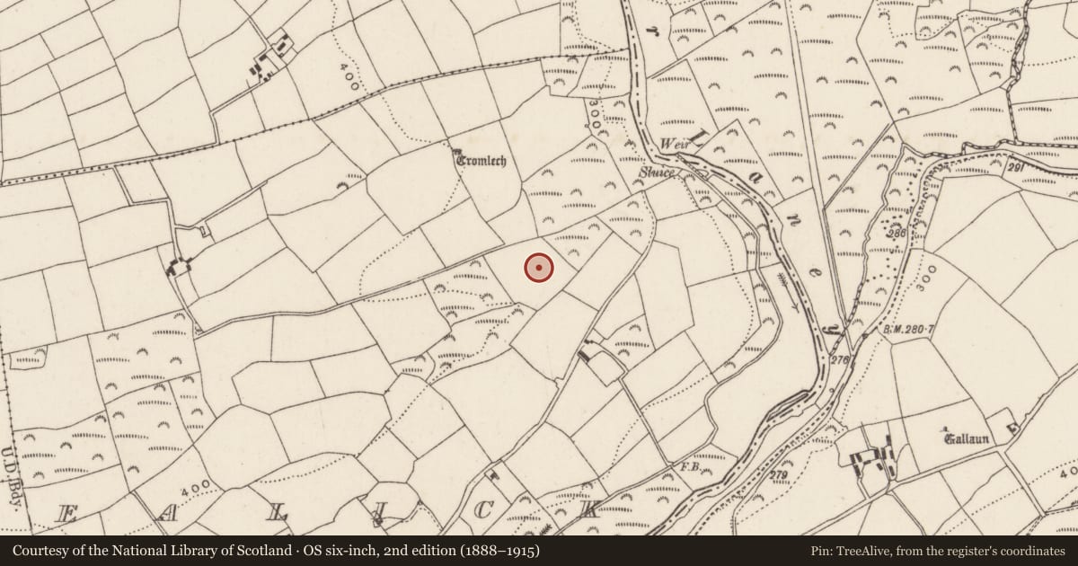 Ordnance Survey six-inch map, 2nd edition (1888–1915) covering the location of Standing stone, Bealick, County Cork, with a pin at the register's coordinates