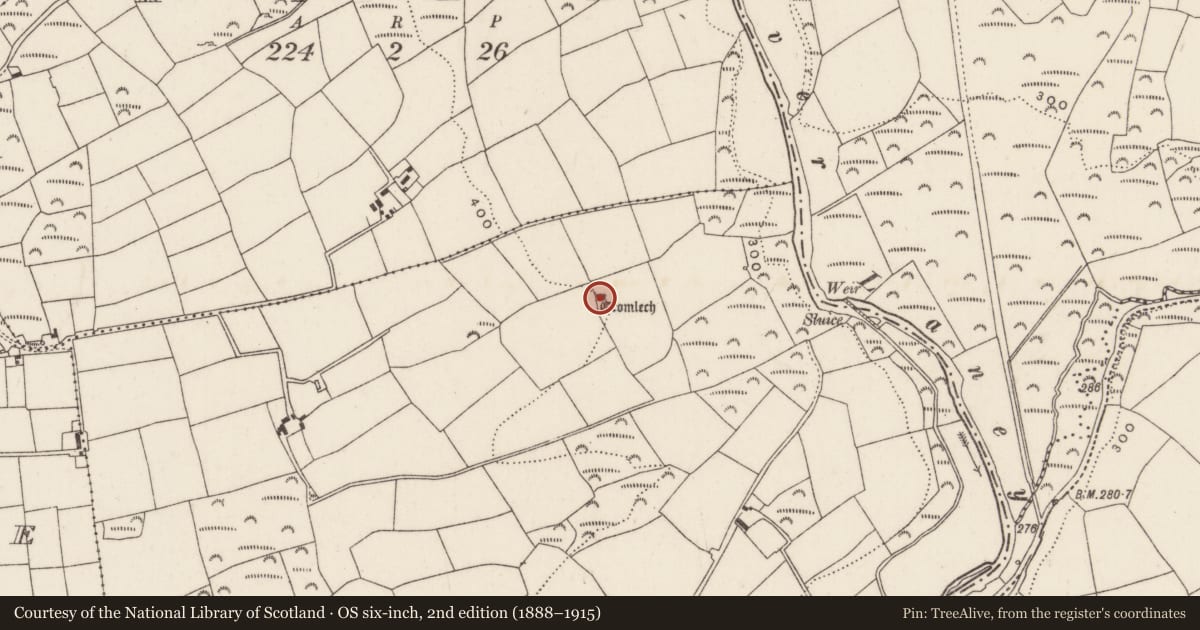 Ordnance Survey six-inch map, 2nd edition (1888–1915) covering the location of Megalithic tomb - wedge tomb, Bealick, County Cork, with a pin at the register's coordinates