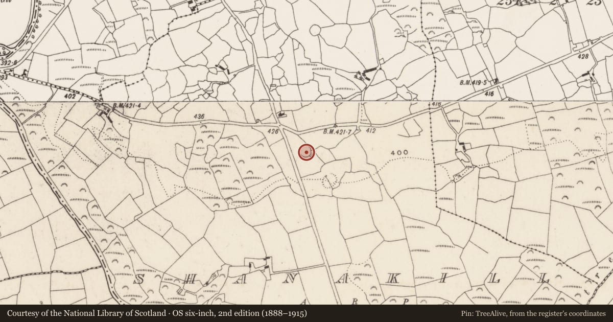 Ordnance Survey six-inch map, 2nd edition (1888–1915) covering the location of Ringfort - cashel, Shanakill, County Cork, with a pin at the register's coordinates