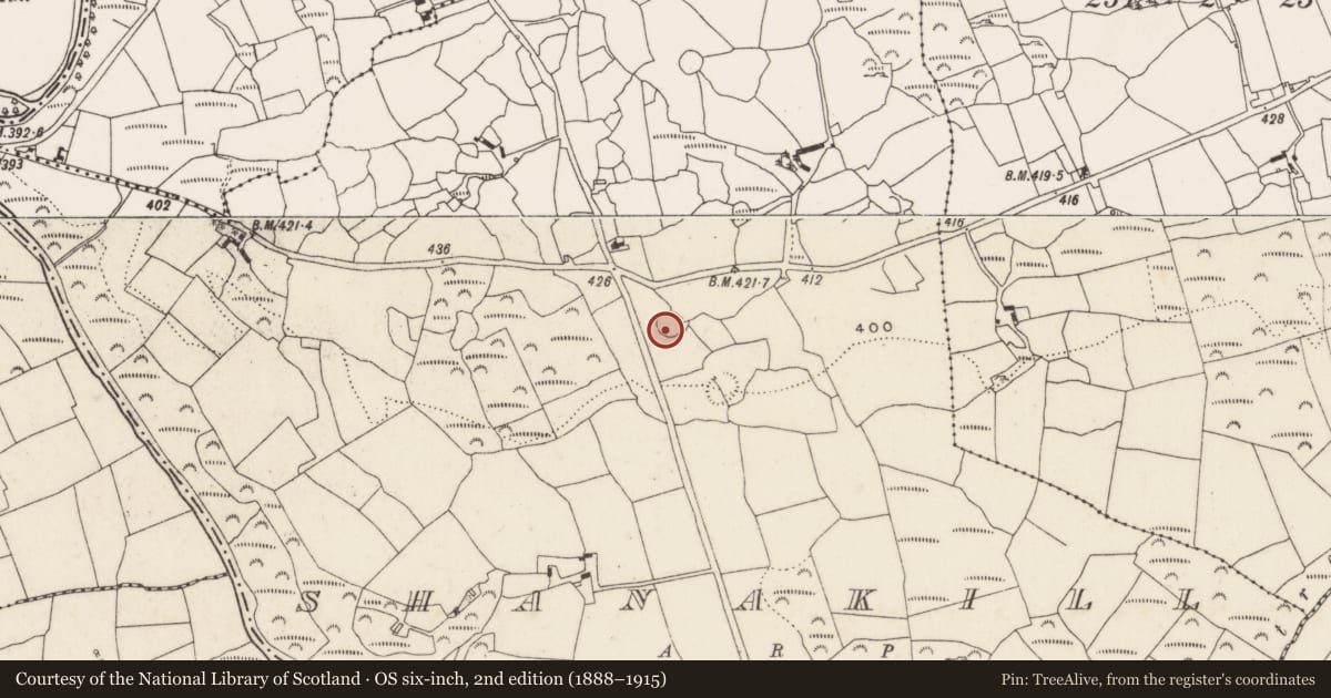 Ordnance Survey six-inch map, 2nd edition (1888–1915) covering the location of Standing stone, Shanakill, County Cork, with a pin at the register's coordinates
