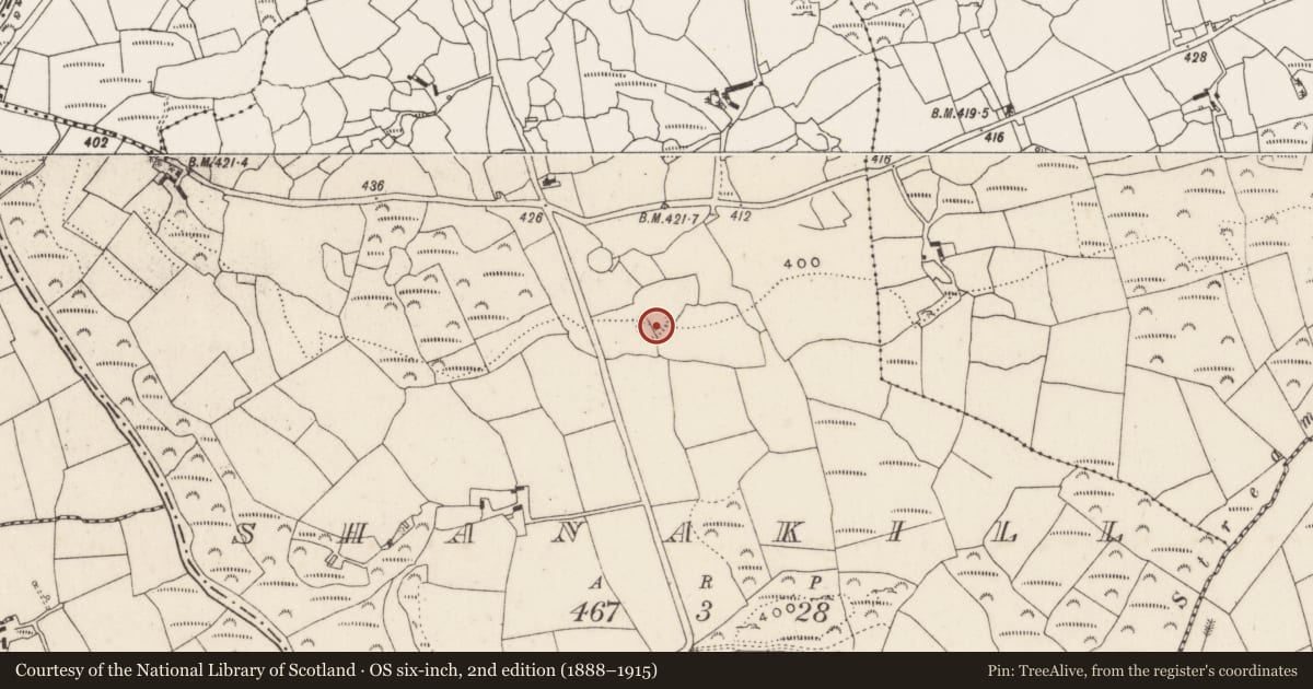 Ordnance Survey six-inch map, 2nd edition (1888–1915) covering the location of Ringfort - rath, Shanakill, County Cork, with a pin at the register's coordinates