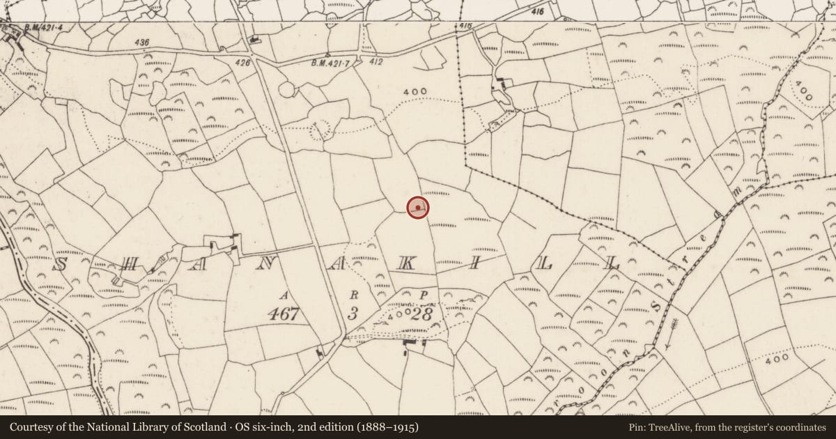 Ordnance Survey six-inch map, 2nd edition (1888–1915) covering the location of Standing stone, Shanakill, County Cork, with a pin at the register's coordinates