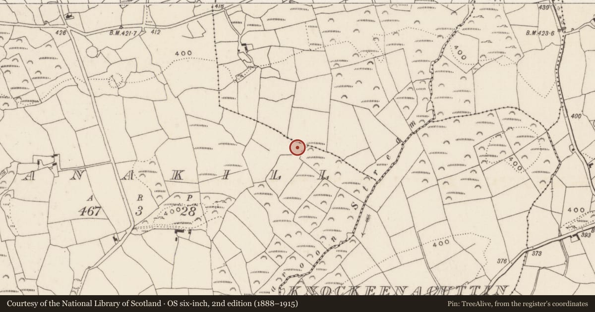 Ordnance Survey six-inch map, 2nd edition (1888–1915) covering the location of Fulacht fia, Shanakill, County Cork, with a pin at the register's coordinates