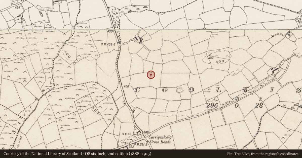 Ordnance Survey six-inch map, 2nd edition (1888–1915) covering the location of Ringfort - rath, Coolkisha, County Cork, with a pin at the register's coordinates