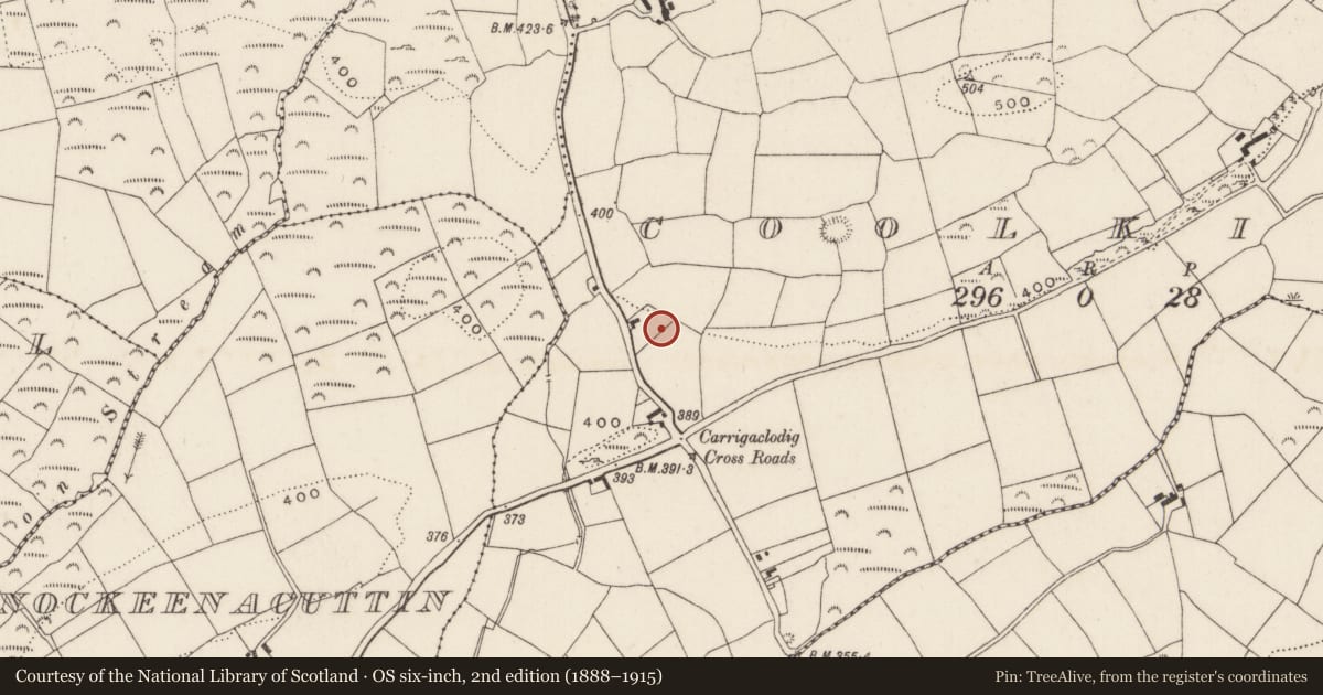 Ordnance Survey six-inch map, 2nd edition (1888–1915) covering the location of Standing stone, Coolkisha, County Cork, with a pin at the register's coordinates
