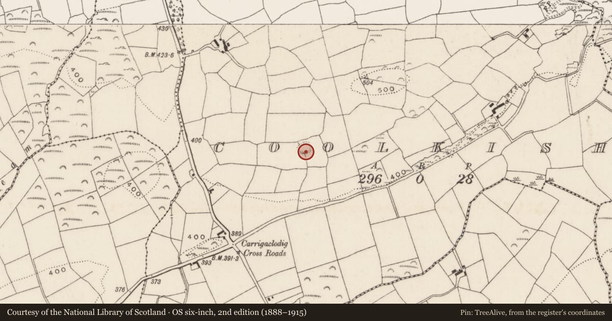 Ordnance Survey six-inch map, 2nd edition (1888–1915) covering the location of Souterrain, Coolkisha, County Cork, with a pin at the register's coordinates