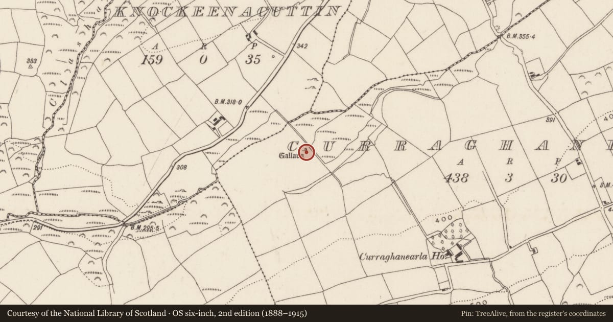 Ordnance Survey six-inch map, 2nd edition (1888–1915) covering the location of Standing stone, Curraghanearla, County Cork, with a pin at the register's coordinates