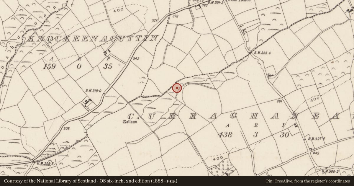 Ordnance Survey six-inch map, 2nd edition (1888–1915) covering the location of Fulacht fia, Curraghanearla, County Cork, with a pin at the register's coordinates