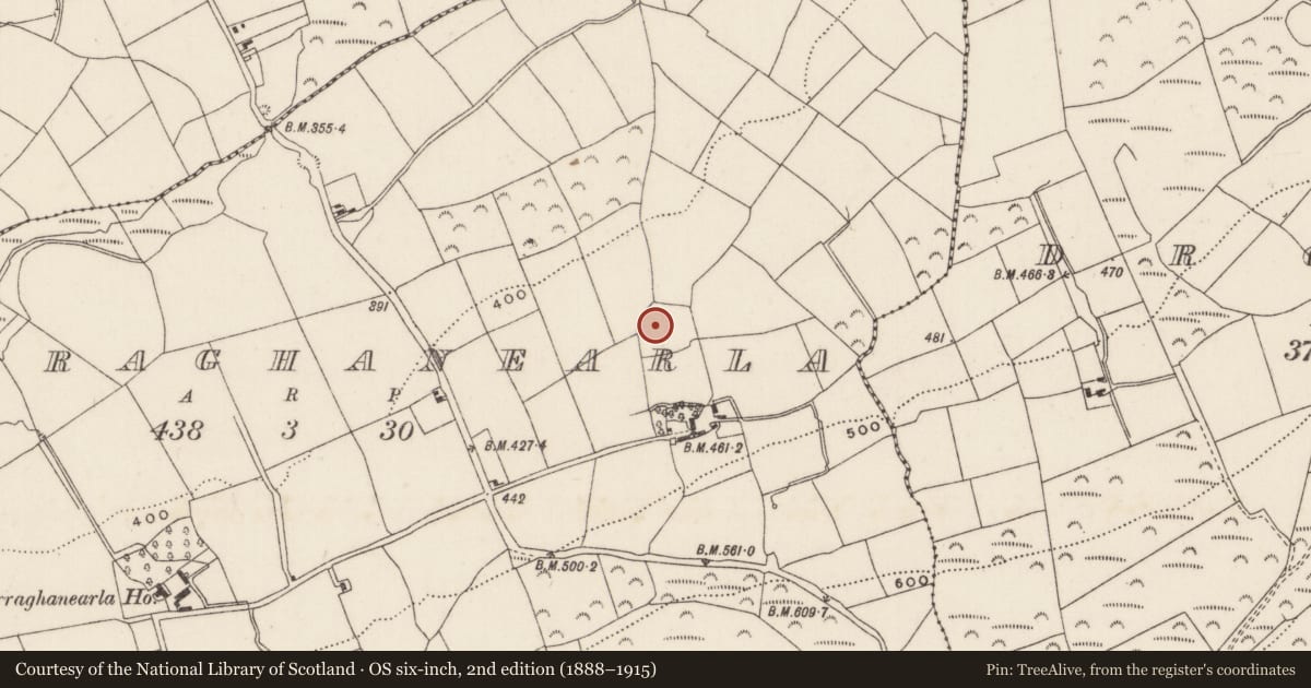 Ordnance Survey six-inch map, 2nd edition (1888–1915) covering the location of Ringfort - rath, Curraghanearla, County Cork, with a pin at the register's coordinates