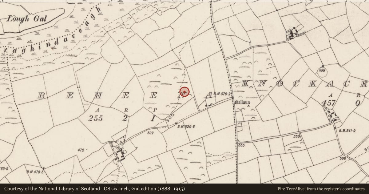 Ordnance Survey six-inch map, 2nd edition (1888–1915) covering the location of Fulacht fia, Beheena, County Cork, with a pin at the register's coordinates