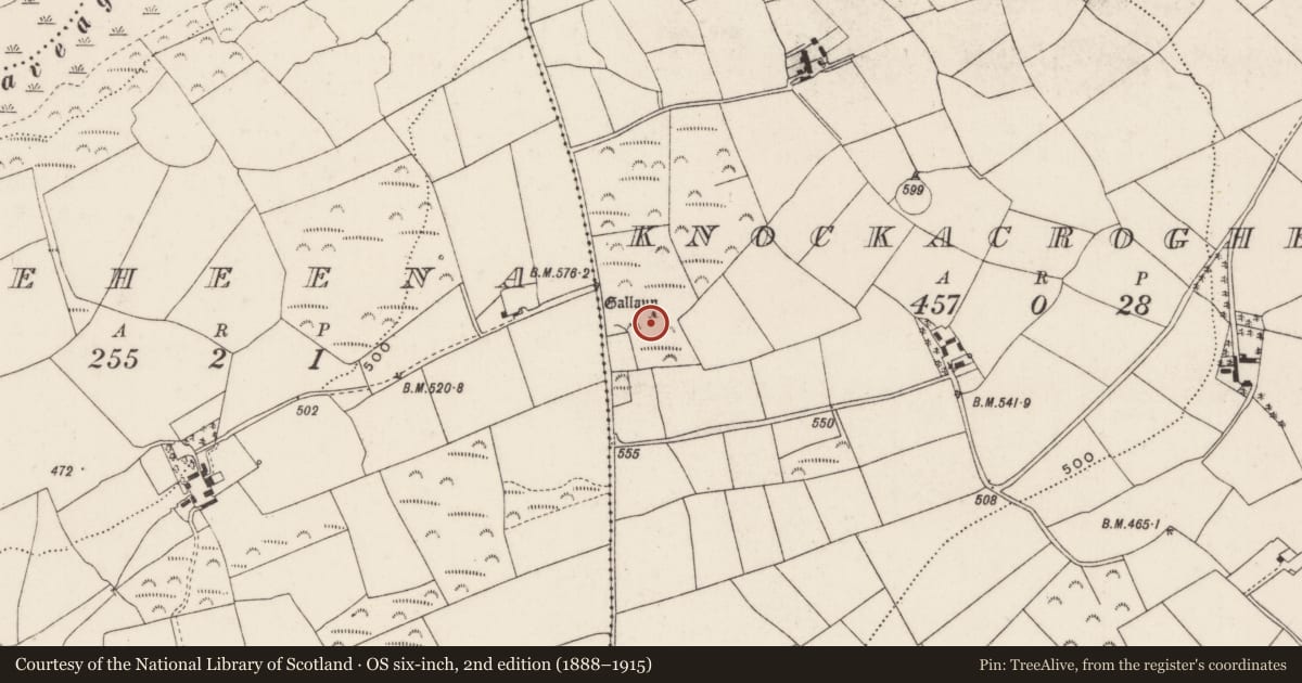 Ordnance Survey six-inch map, 2nd edition (1888–1915) covering the location of Standing stone - pair, Knockacroghera, County Cork, with a pin at the register's coordinates