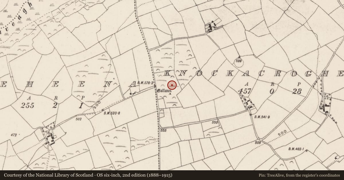 Ordnance Survey six-inch map, 2nd edition (1888–1915) covering the location of Standing stone, Knockacroghera, County Cork, with a pin at the register's coordinates