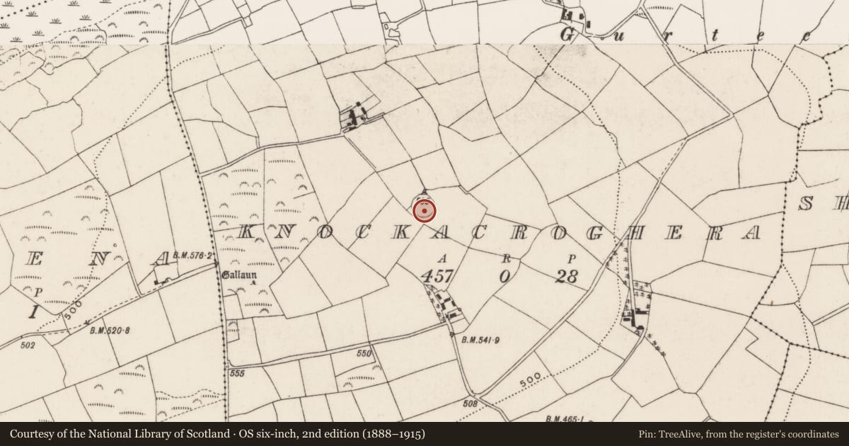Ordnance Survey six-inch map, 2nd edition (1888–1915) covering the location of Ringfort - rath, Knockacroghera, County Cork, with a pin at the register's coordinates