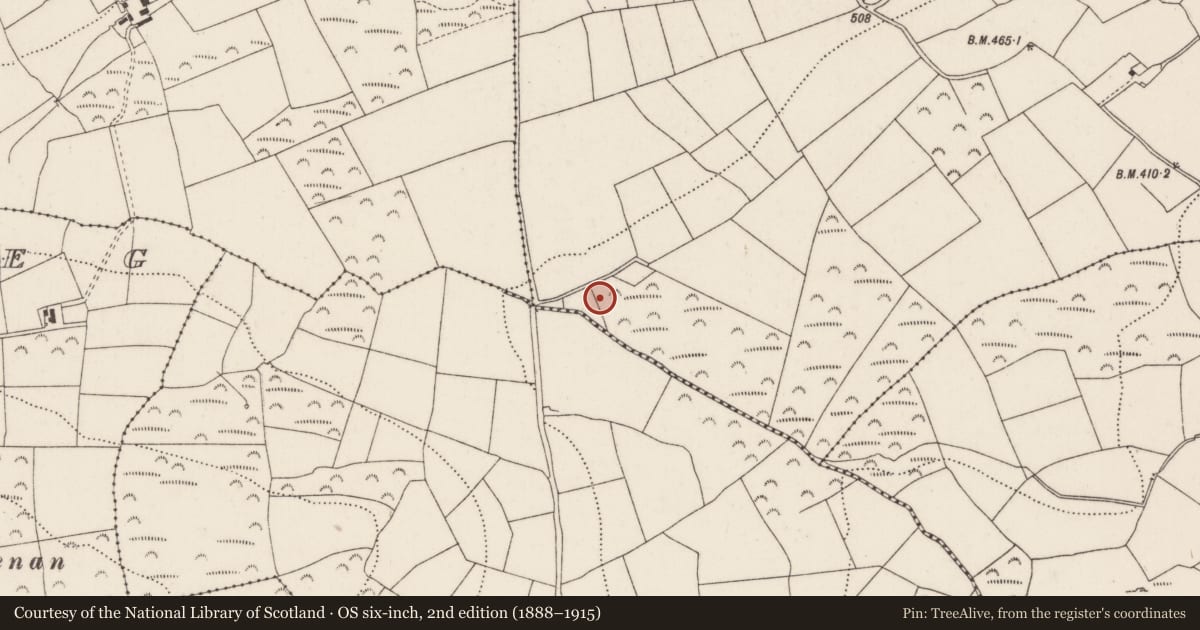 Ordnance Survey six-inch map, 2nd edition (1888–1915) covering the location of Fulacht fia, Knockacroghera, County Cork, with a pin at the register's coordinates