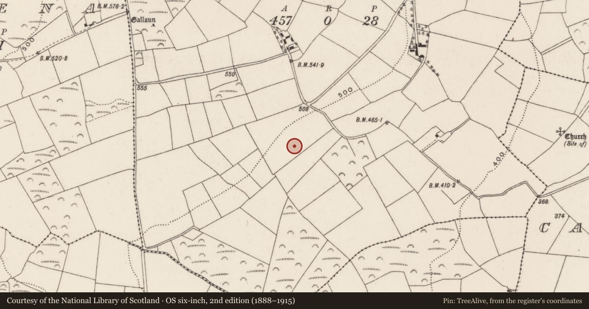 Ordnance Survey six-inch map, 2nd edition (1888–1915) covering the location of Metalworking site, Knockacroghera, County Cork, with a pin at the register's coordinates