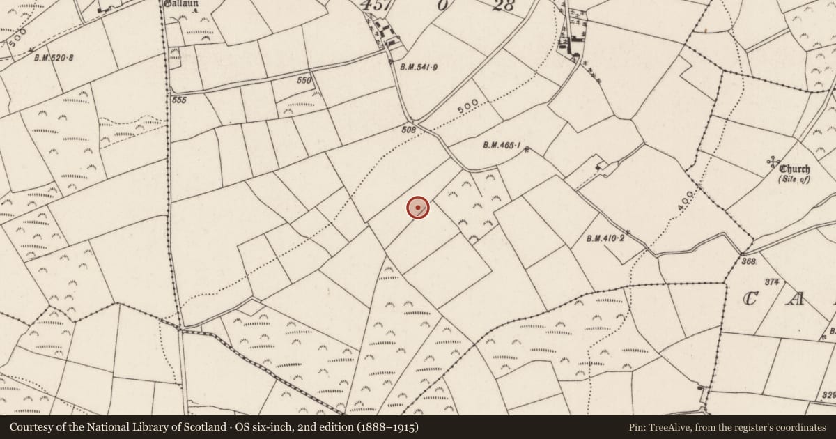 Ordnance Survey six-inch map, 2nd edition (1888–1915) covering the location of Fulacht fia, Knockacroghera, County Cork, with a pin at the register's coordinates