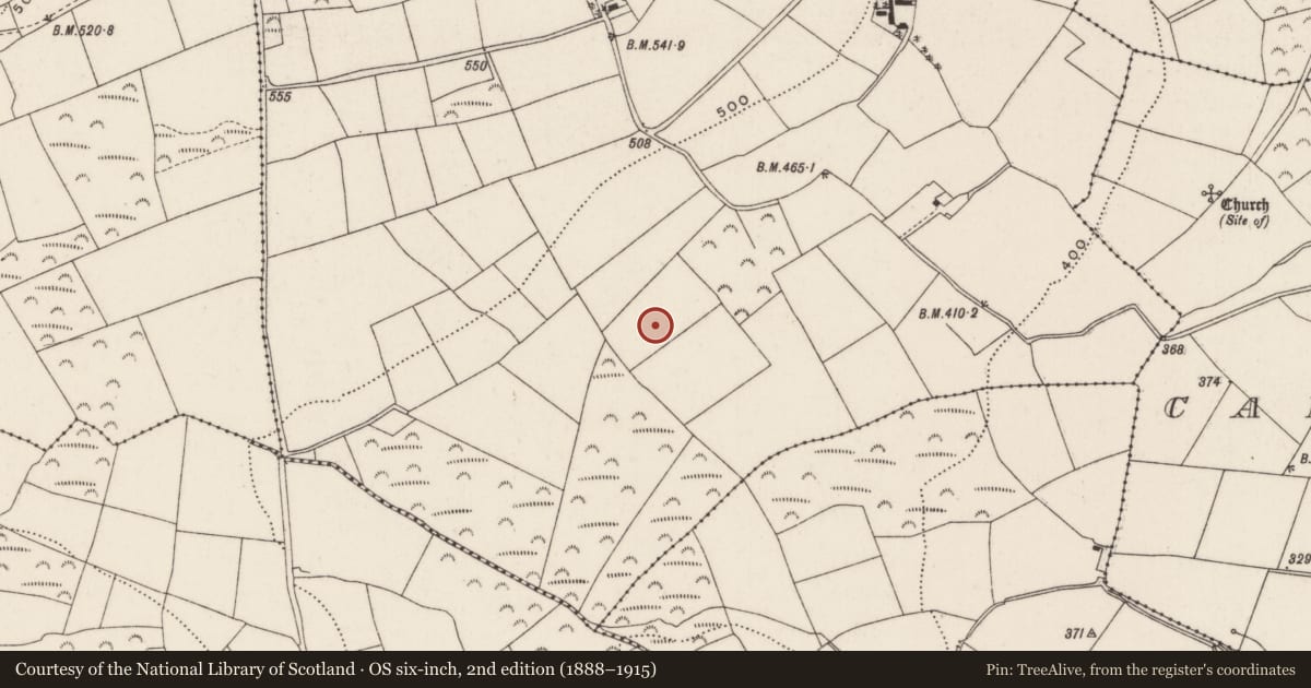 Ordnance Survey six-inch map, 2nd edition (1888–1915) covering the location of Standing stone, Knockacroghera, County Cork, with a pin at the register's coordinates
