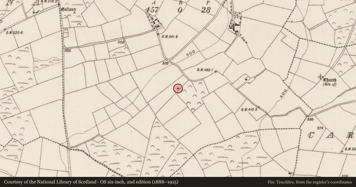 Ordnance Survey six-inch map, 2nd edition (1888–1915) covering the location of Fulacht fia, Knockacroghera, County Cork, with a pin at the register's coordinates