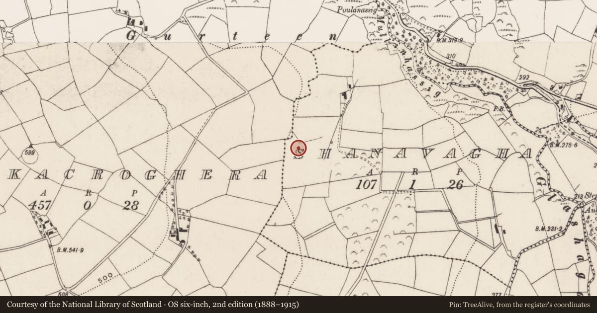 Ordnance Survey six-inch map, 2nd edition (1888–1915) covering the location of Fulacht fia, Shanavagha, County Cork, with a pin at the register's coordinates