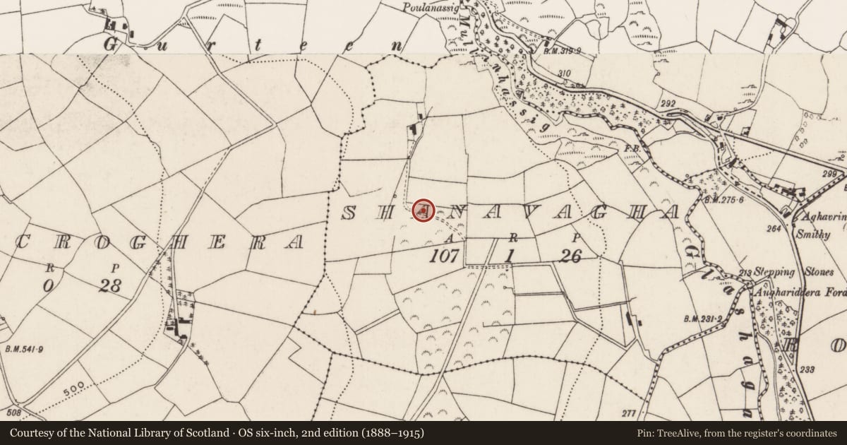 Ordnance Survey six-inch map, 2nd edition (1888–1915) covering the location of Fulacht fia, Shanavagha, County Cork, with a pin at the register's coordinates