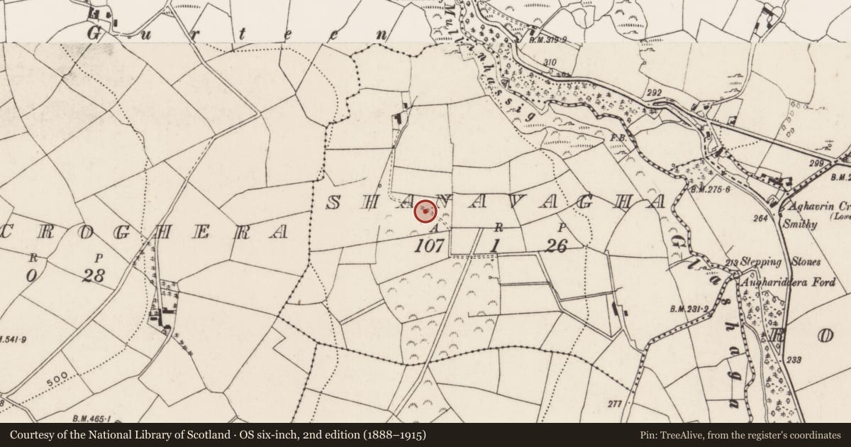 Ordnance Survey six-inch map, 2nd edition (1888–1915) covering the location of Fulacht fia, Shanavagha, County Cork, with a pin at the register's coordinates