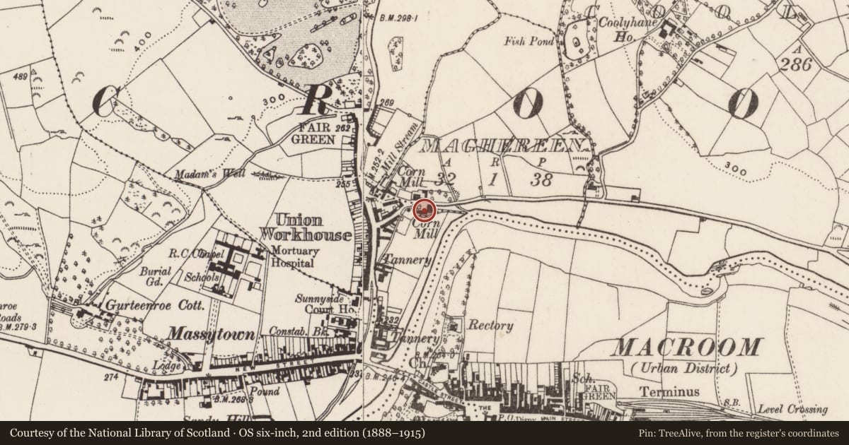 Ordnance Survey six-inch map, 2nd edition (1888–1915) covering the location of Mill - corn, Maghereen, County Cork, with a pin at the register's coordinates