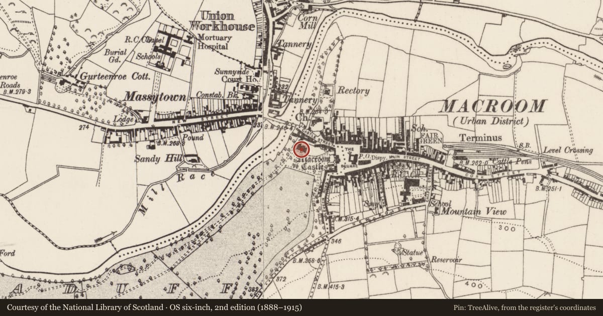Ordnance Survey six-inch map, 2nd edition (1888–1915) covering the location of Castle - tower house, Lackaduff, County Cork, with a pin at the register's coordinates