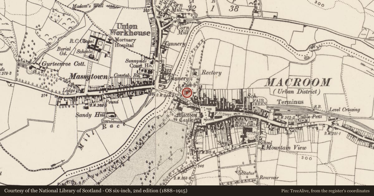 Ordnance Survey six-inch map, 2nd edition (1888–1915) covering the location of Graveyard, Sleveen East, County Cork, with a pin at the register's coordinates