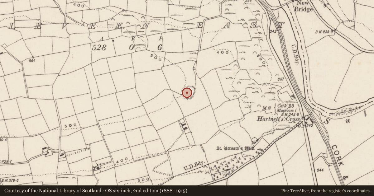 Ordnance Survey six-inch map, 2nd edition (1888–1915) covering the location of Ringfort - rath, Sleveen East, County Cork, with a pin at the register's coordinates