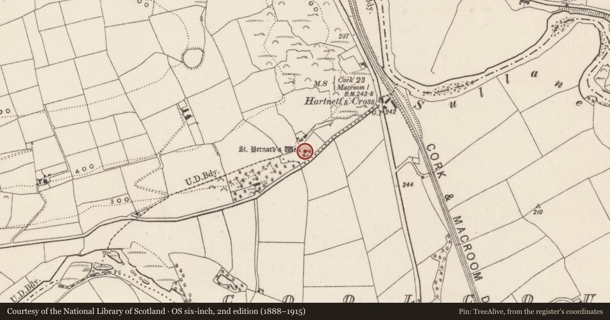 Ordnance Survey six-inch map, 2nd edition (1888–1915) covering the location of Ritual site - holy well, Sleveen East, County Cork, with a pin at the register's coordinates