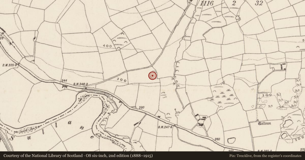 Ordnance Survey six-inch map, 2nd edition (1888–1915) covering the location of Ringfort - rath, Ummera, County Cork, with a pin at the register's coordinates