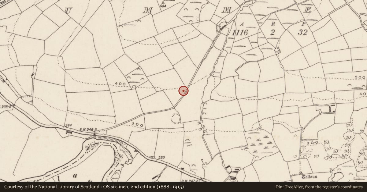 Ordnance Survey six-inch map, 2nd edition (1888–1915) covering the location of Souterrain, Ummera, County Cork, with a pin at the register's coordinates