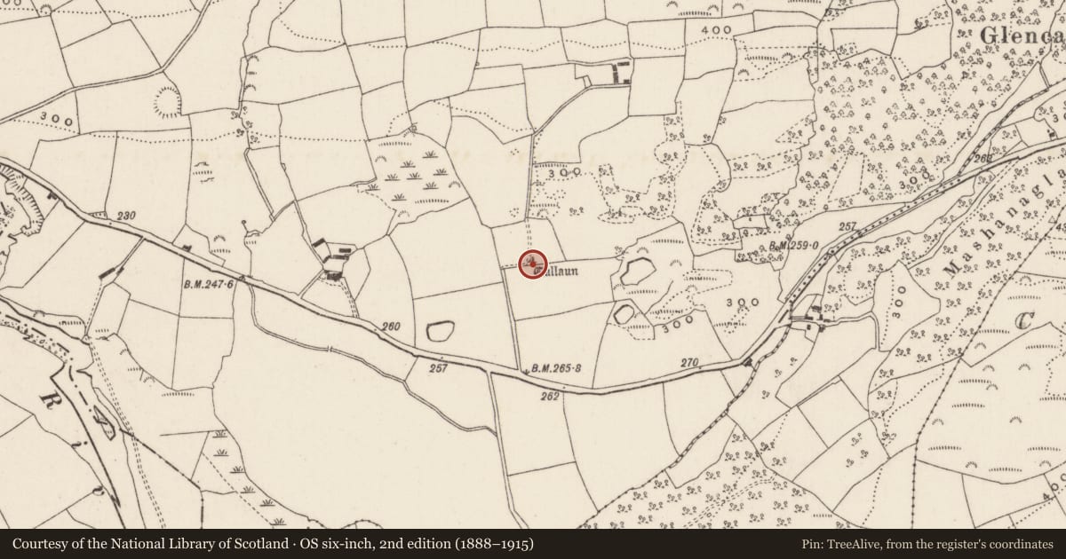 Ordnance Survey six-inch map, 2nd edition (1888–1915) covering the location of Standing stone, Ummera, County Cork, with a pin at the register's coordinates