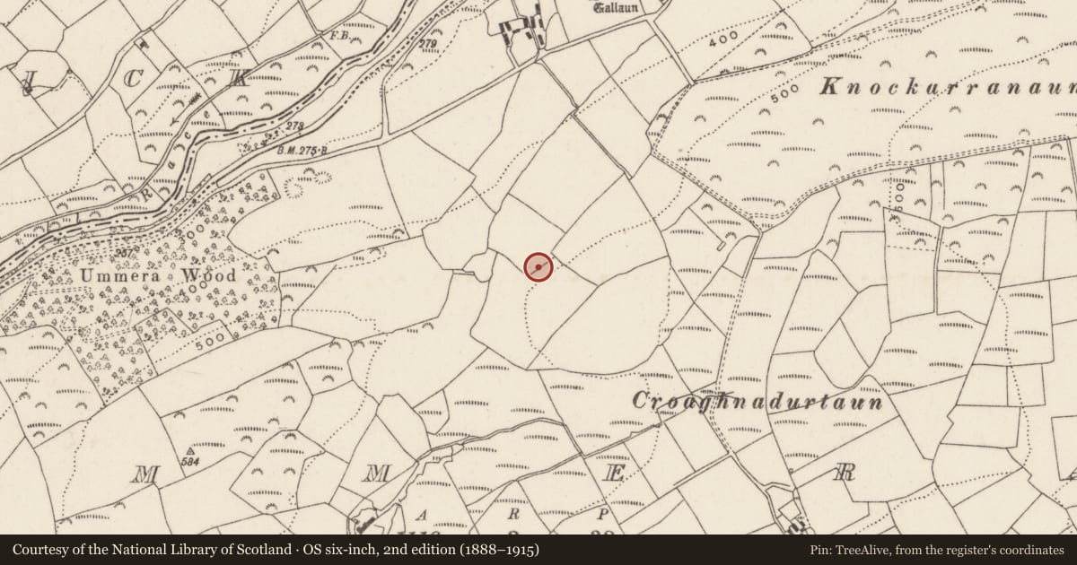 Ordnance Survey six-inch map, 2nd edition (1888–1915) covering the location of Souterrain, Ummera, County Cork, with a pin at the register's coordinates