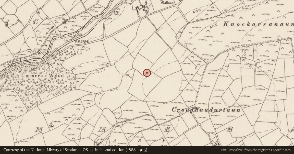 Ordnance Survey six-inch map, 2nd edition (1888–1915) covering the location of Souterrain, Ummera, County Cork, with a pin at the register's coordinates