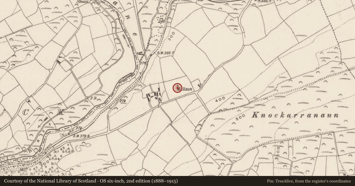 Ordnance Survey six-inch map, 2nd edition (1888–1915) covering the location of Standing stone, Ummera, County Cork, with a pin at the register's coordinates