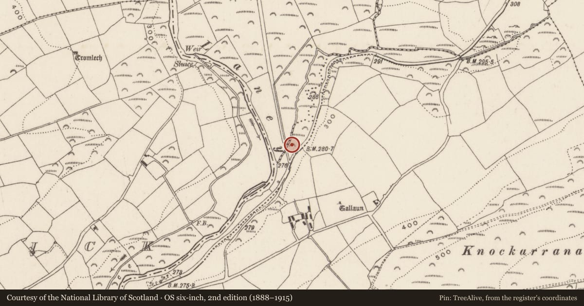 Ordnance Survey six-inch map, 2nd edition (1888–1915) covering the location of Fulacht fia, Ummera, County Cork, with a pin at the register's coordinates