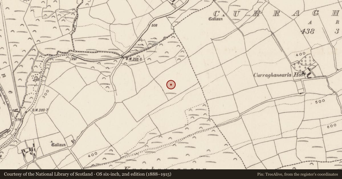 Ordnance Survey six-inch map, 2nd edition (1888–1915) covering the location of Ringfort - rath, Ummera, County Cork, with a pin at the register's coordinates