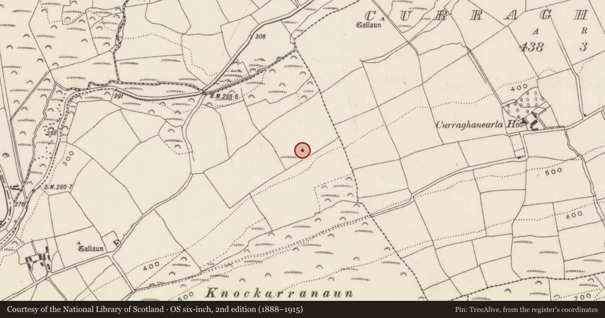 Ordnance Survey six-inch map, 2nd edition (1888–1915) covering the location of Fulacht fia, Ummera, County Cork, with a pin at the register's coordinates