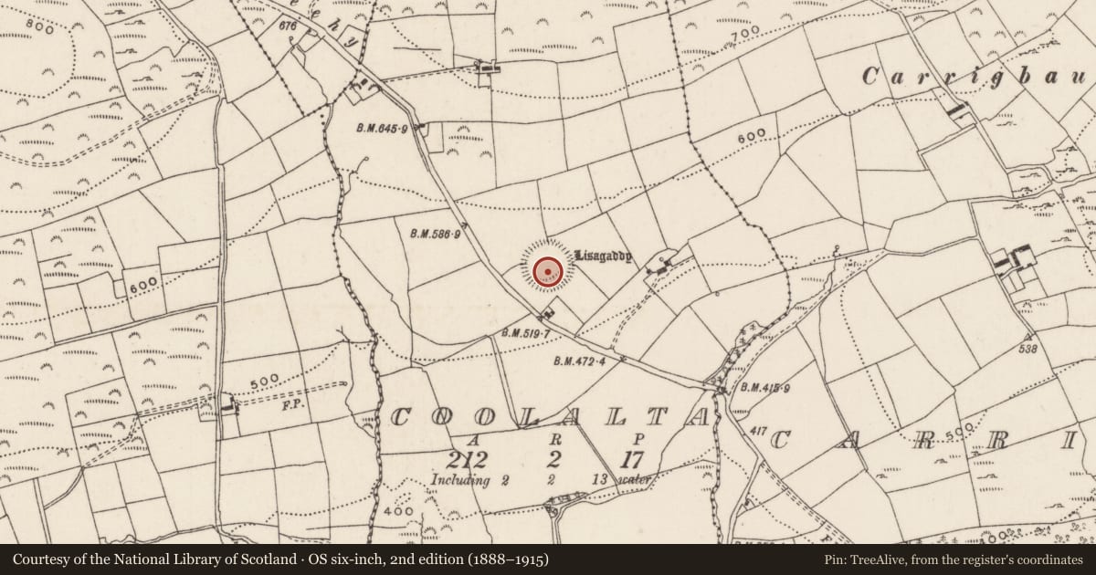 Ordnance Survey six-inch map, 2nd edition (1888–1915) covering the location of Ringfort - rath, Coolalta, County Cork, with a pin at the register's coordinates