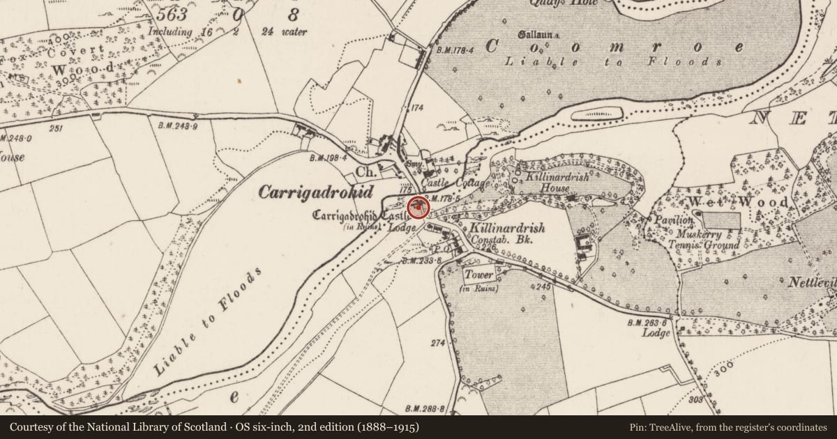Ordnance Survey six-inch map, 2nd edition (1888–1915) covering the location of Bridge, Carrigadrohid, Killinardrish, County Cork, with a pin at the register's coordinates