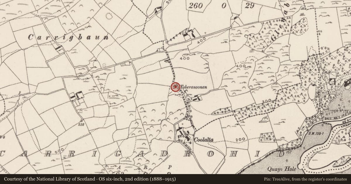 Ordnance Survey six-inch map, 2nd edition (1888–1915) covering the location of Ritual site - holy well, Cappanagraun, County Cork, with a pin at the register's coordinates