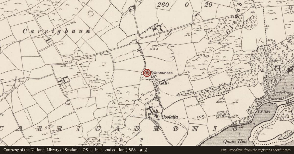 Ordnance Survey six-inch map, 2nd edition (1888–1915) covering the location of Bullaun stone, Cappanagraun, County Cork, with a pin at the register's coordinates