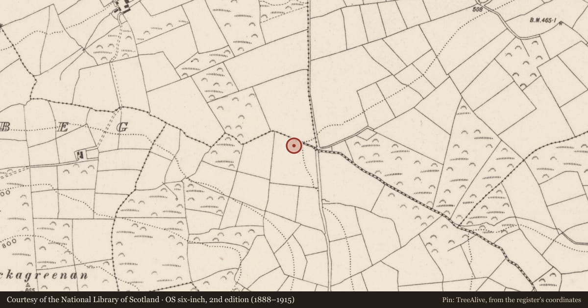 Ordnance Survey six-inch map, 2nd edition (1888–1915) covering the location of Fulacht fia, Cappanagraun, County Cork, with a pin at the register's coordinates
