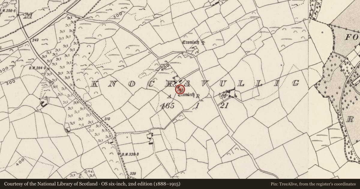 Ordnance Survey six-inch map, 2nd edition (1888–1915) covering the location of Stone circle - five-stone, Knockavullig, County Cork, with a pin at the register's coordinates