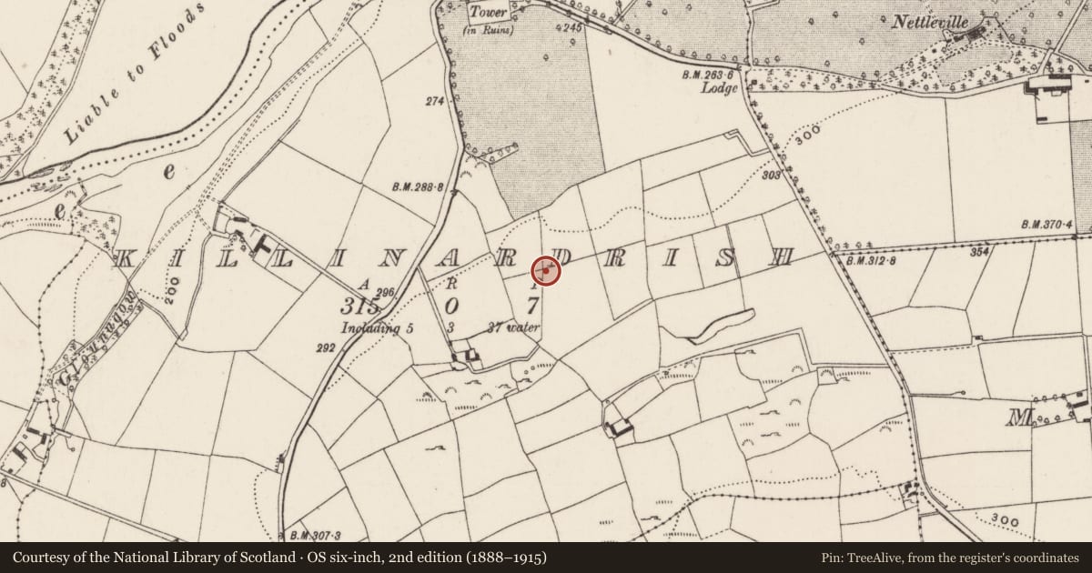 Ordnance Survey six-inch map, 2nd edition (1888–1915) covering the location of Fulacht fia, Killinardrish, County Cork, with a pin at the register's coordinates